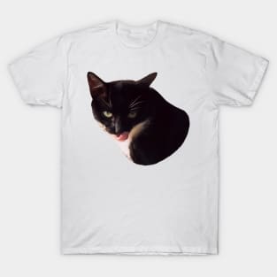 Suspicious licking black and white cat T-Shirt